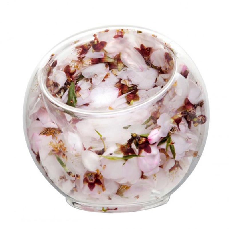 100% Chef Ice Cam Sunum Kasesi, 120 ml — 100% Chef — Görsel 3