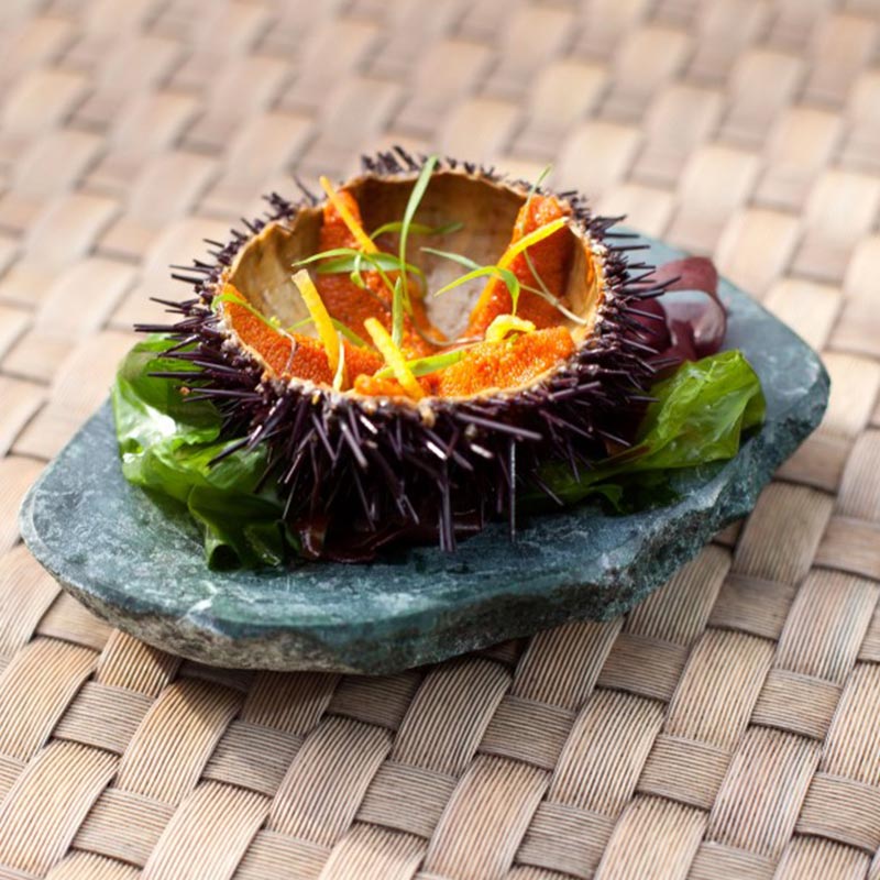 100% Chef Imperator Taş Sunum Tabağı, 20x10 cm, Gri — 100% Chef — Görsel 2