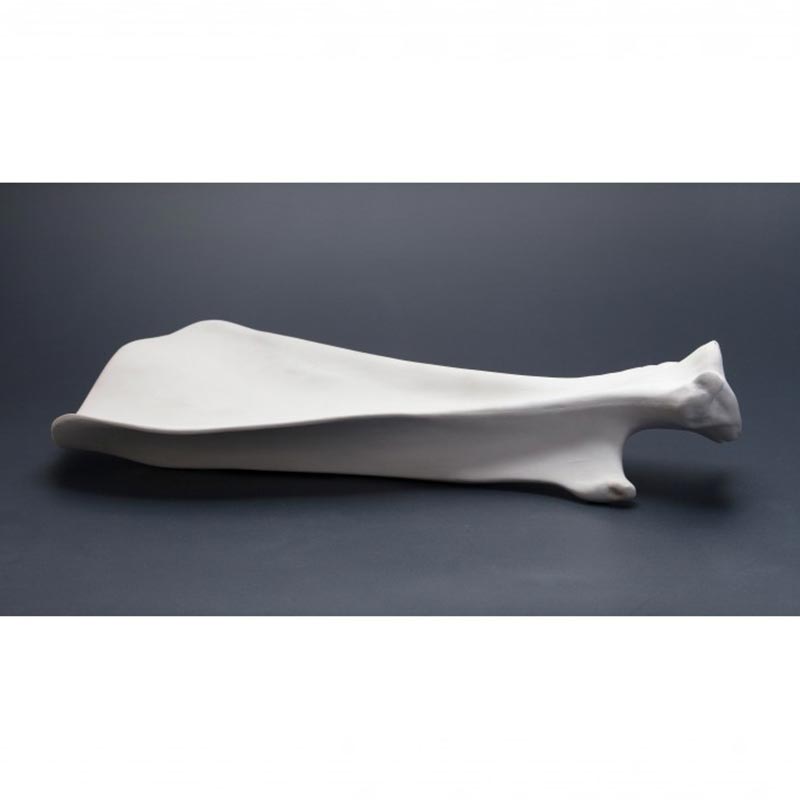 100% Chef Shoulder Blade Porselen Sunum Tabağı, 33x20x6 cm — 100% Chef — Görsel 2