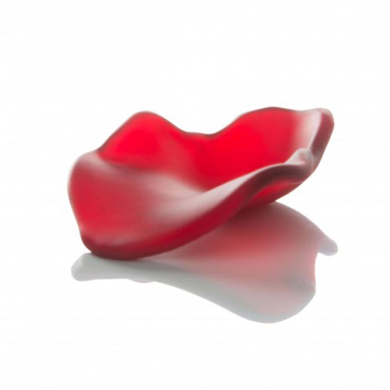 100% Chef Yaprak Cam Sunum Kaşığı ve Tabağı, 6 Adet, Kırmızı — 100% Chef