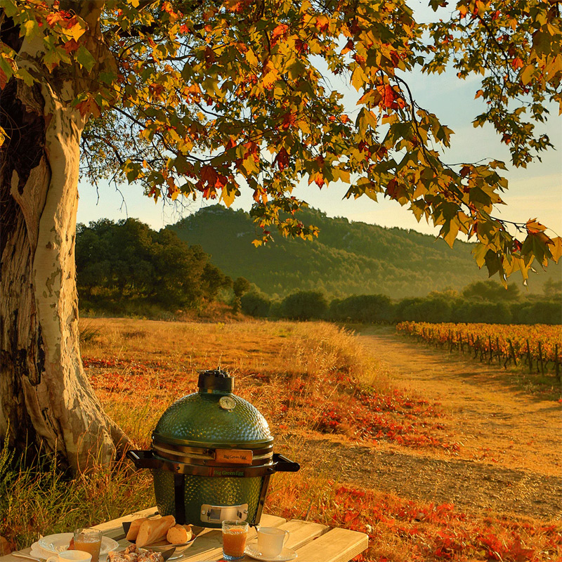 Big Green Egg Minimax Barbekü Mangal, Kömürlü — Big Green Egg — Görsel 5