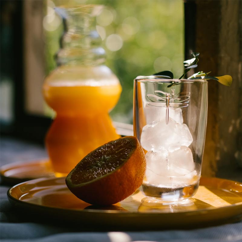 La Rochere Libellules Long Drink Bardak, 400 ml — La Rochere — Görsel 2