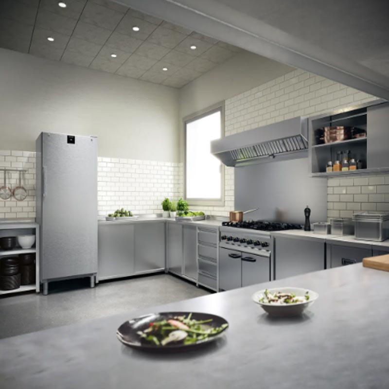 Liebherr FFFCvg 6501 Dik Tip Tek Kapılı Derin Dondurucu, 544 L — Liebherr — Görsel 5