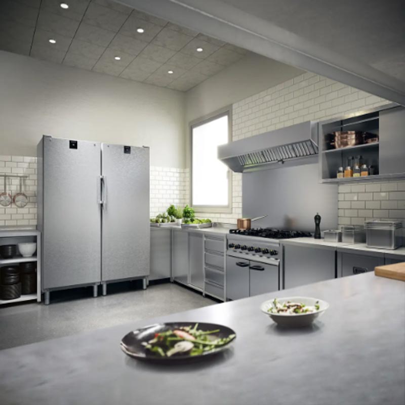 Liebherr FFFCvg 6501 Dik Tip Tek Kapılı Derin Dondurucu, 544 L — Liebherr — Görsel 6