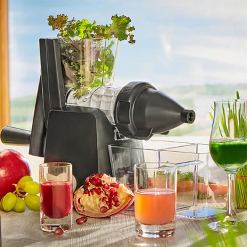 Lurch Base & Soul Slow Juicer Katı Meyve Sıkacağı — Lurch — Görsel 4