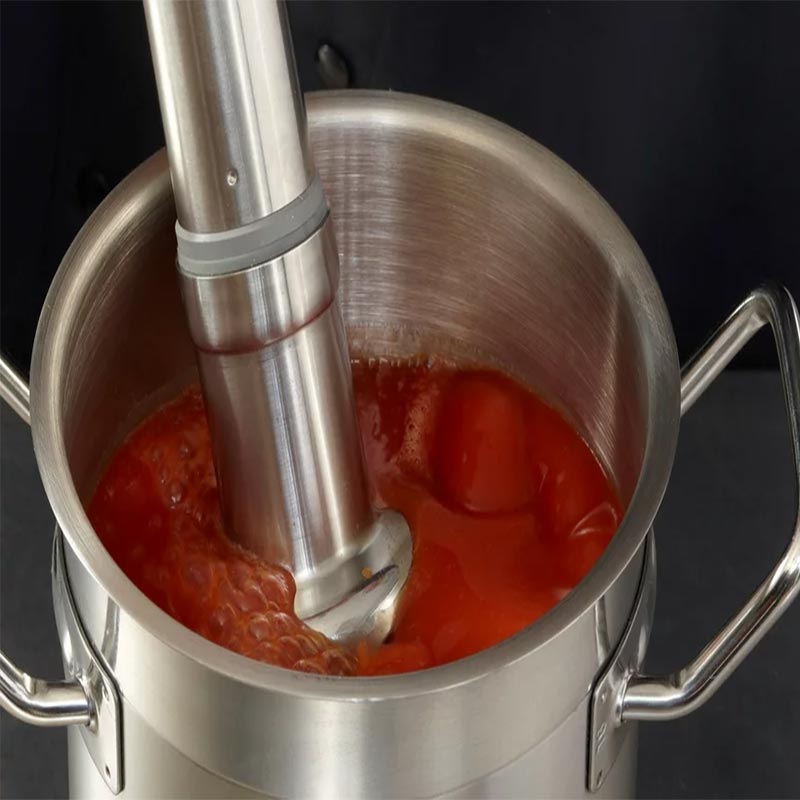 Robot Coupe CMP 250 V.V. El Blender — Robot Coupe — Görsel 3
