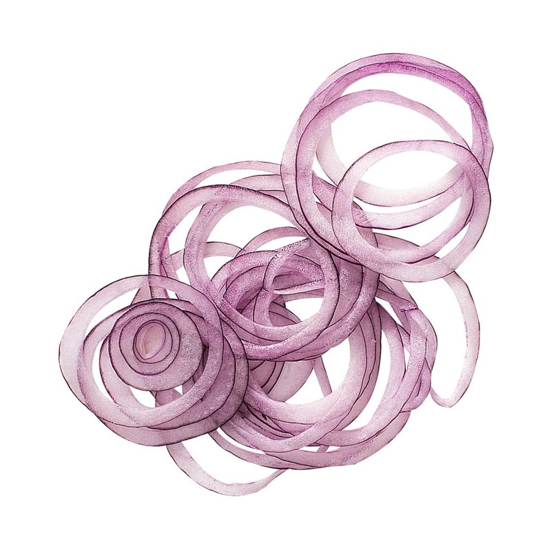 Robot Coupe İnce Dilimleyici Disk, 1 mm — Robot Coupe — Görsel 2