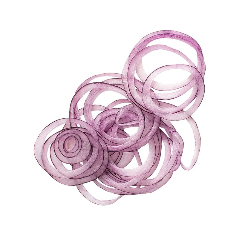 Robot Coupe Kesme Diski, 1 mm — Robot Coupe — Görsel 2