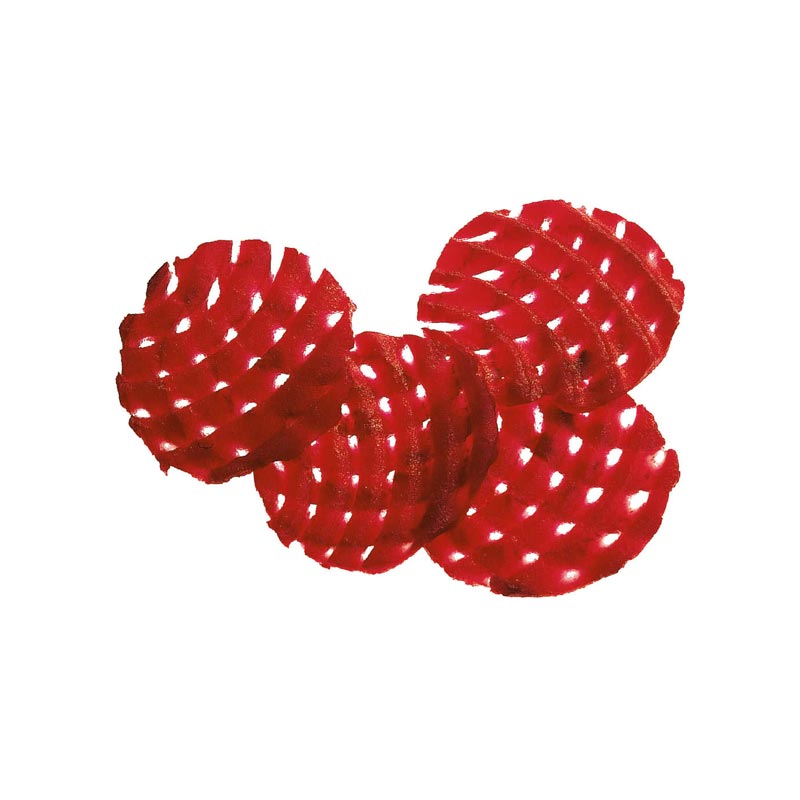Robot Coupe Waffle ve Gofret Kesme Diski, 4 mm — Robot Coupe — Görsel 2