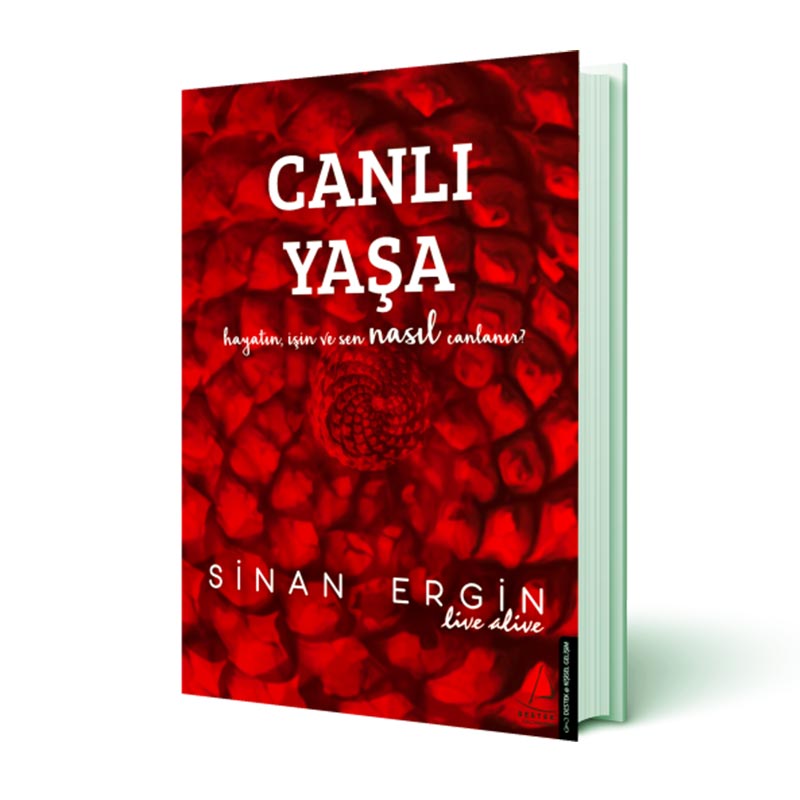 Sinan Ergin Canlı Yaşa — Sinan Ergin — Görsel 1