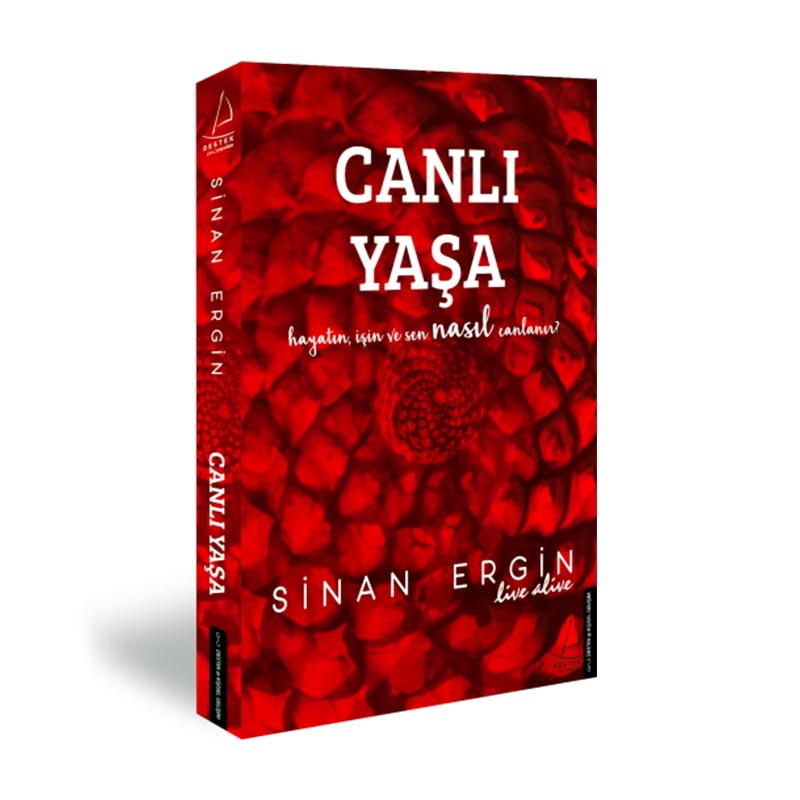 Sinan Ergin Canlı Yaşa — Sinan Ergin — Görsel 3